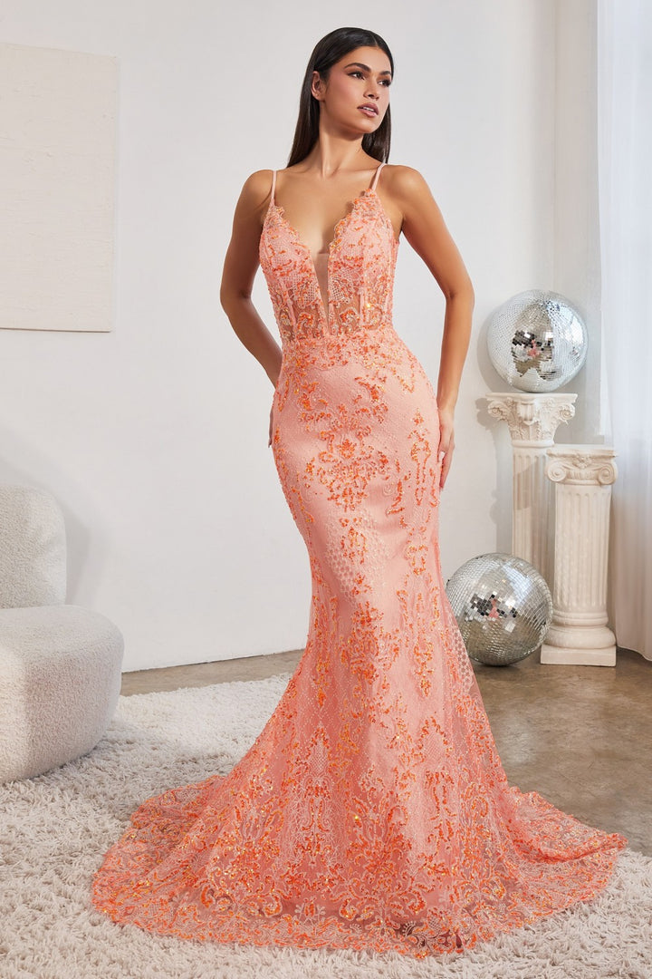Vestido de Gala con Colita
