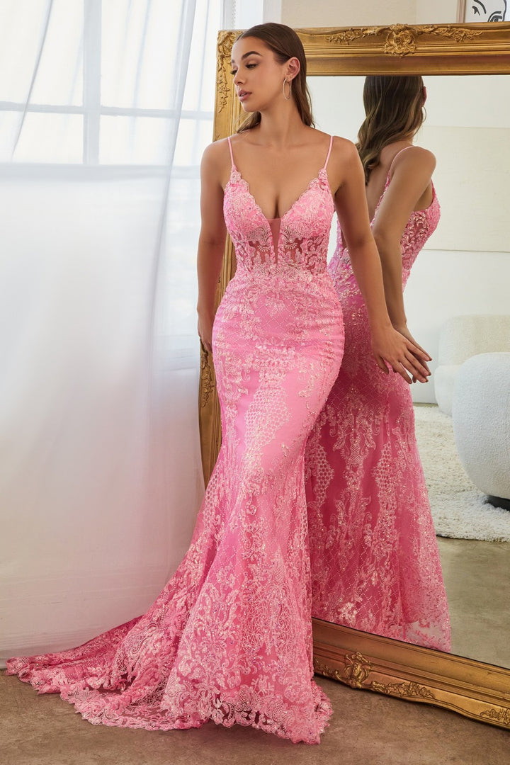 Vestido de Gala con Colita