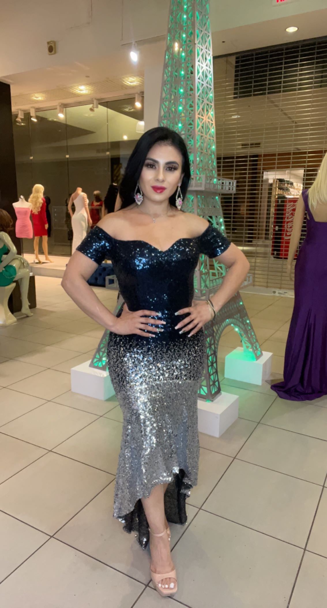 Vestido tipo Sirena Azul Marino y Plateado